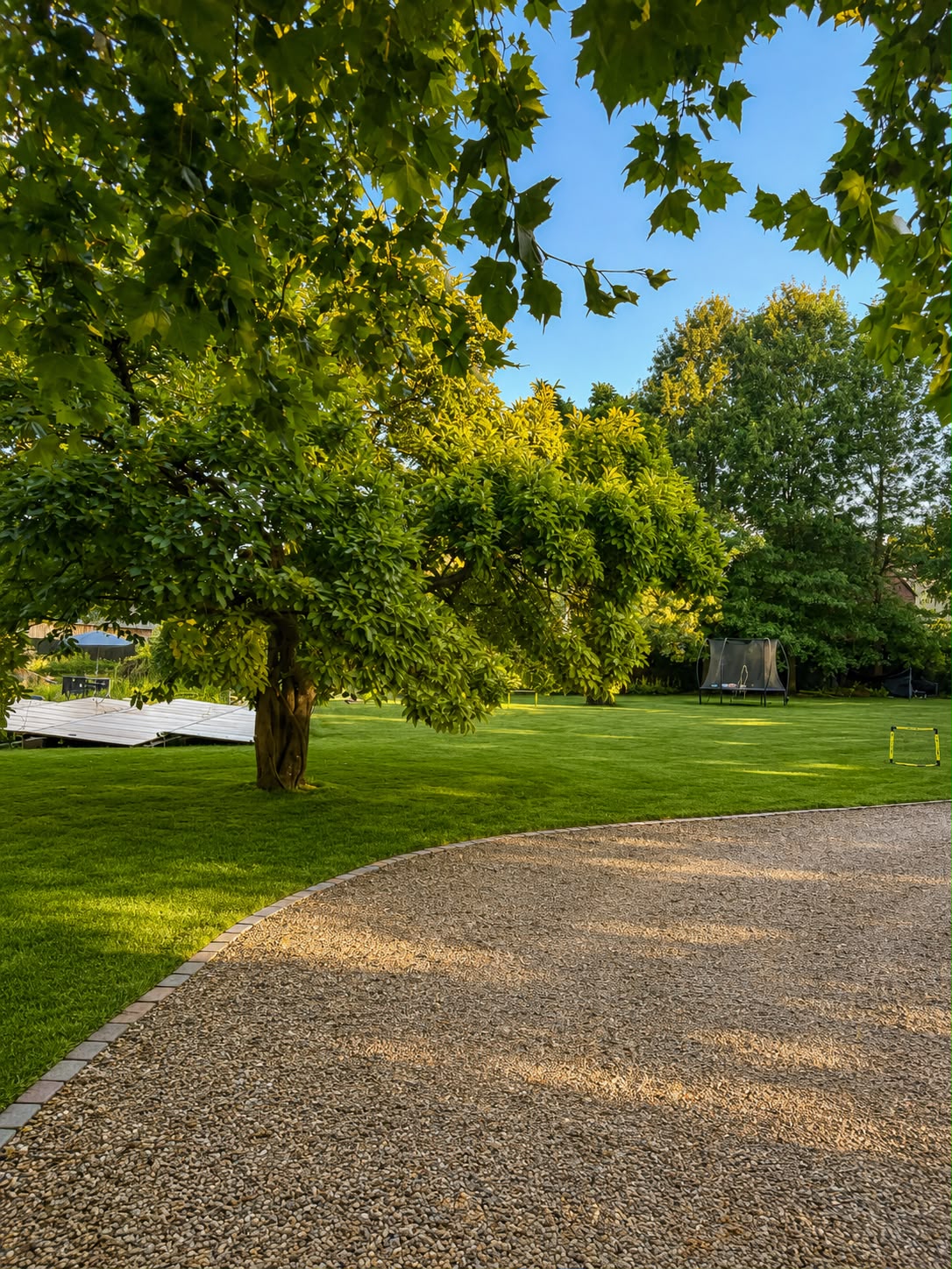 Parktuin met oude plataan en speelweide